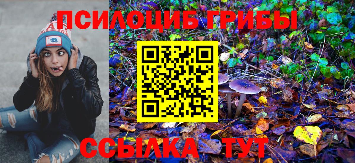 Алатырь  Псилоцибиновые грибы ЛСД  Вход с VPN 